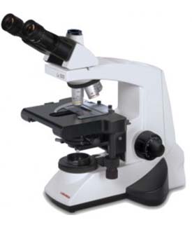 Binocular Microscope